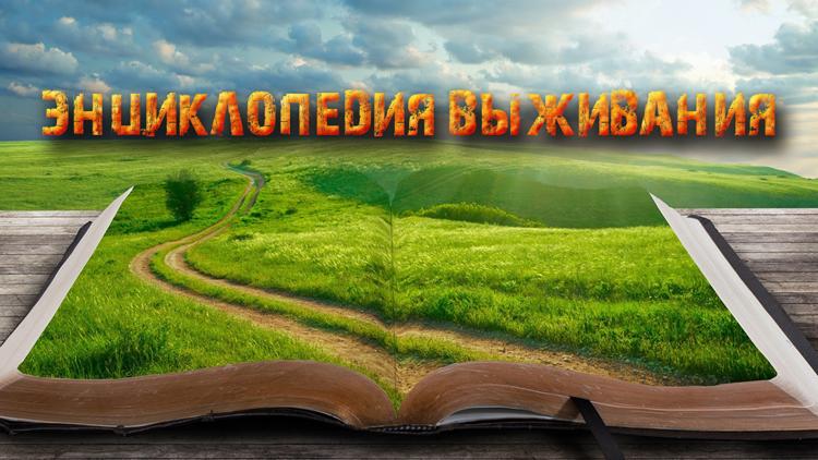 Постер Энциклопедия выживания