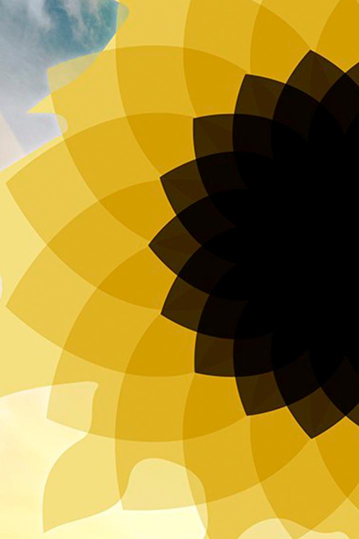 КИНОпробы. SOLSTICE (kinoproby-solstice) Музыка