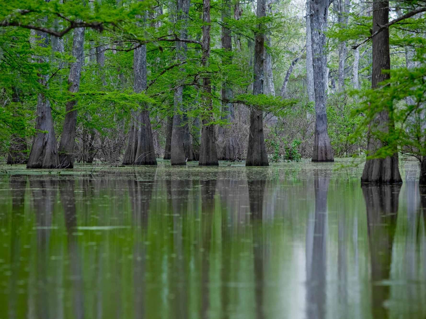 An den Ufern des Mississippi (an-den-ufern-des-mississippi) Документальный сериал