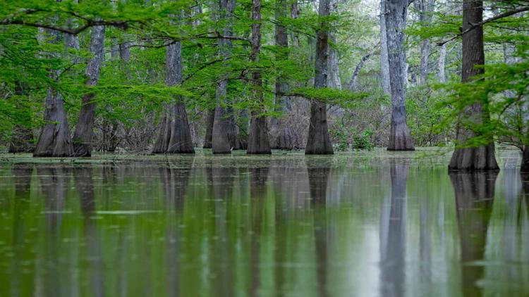 Постер An den Ufern des Mississippi