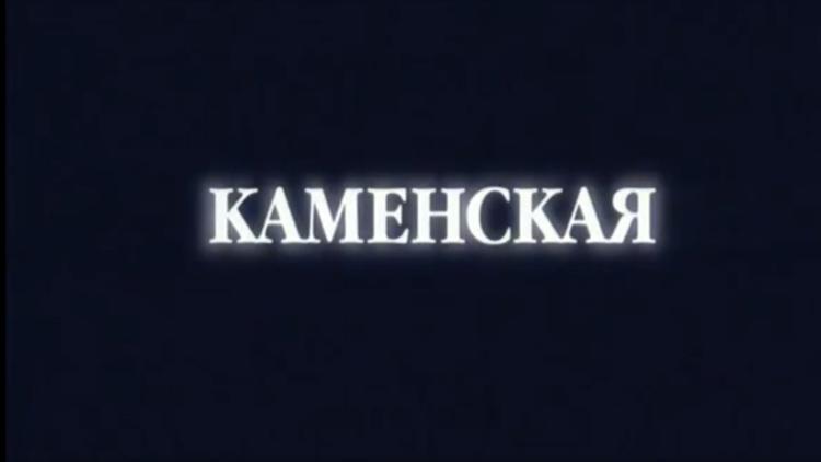 Постер Каменская