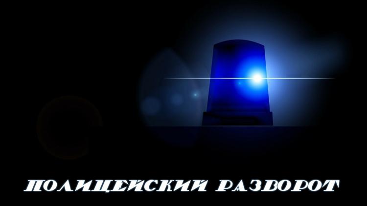 Постер Полицейский разворот