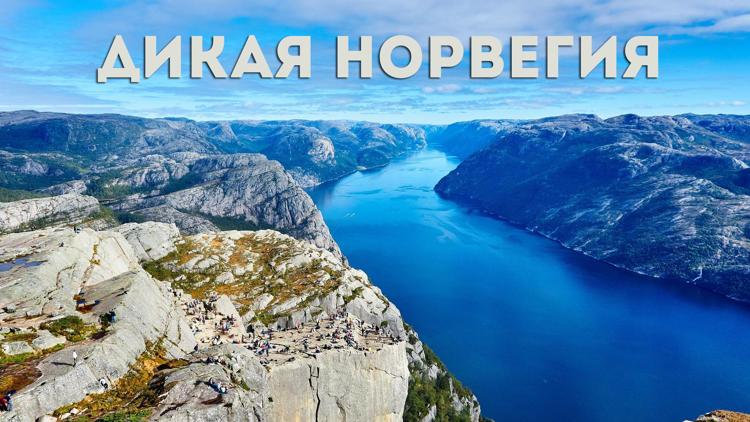 Постер Дикая Норвегия