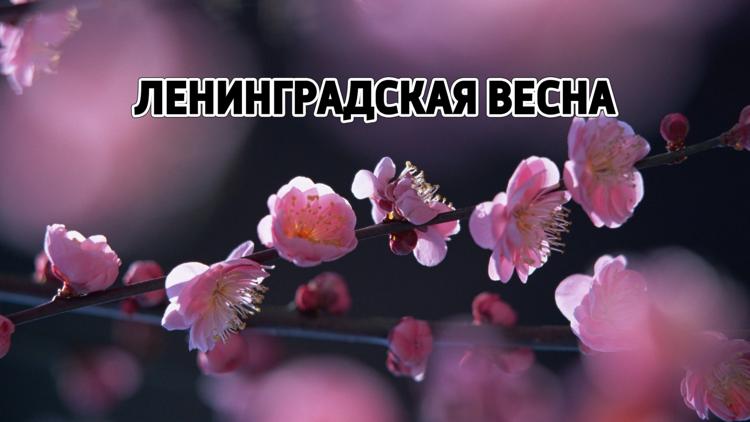 Постер Ленинградская весна