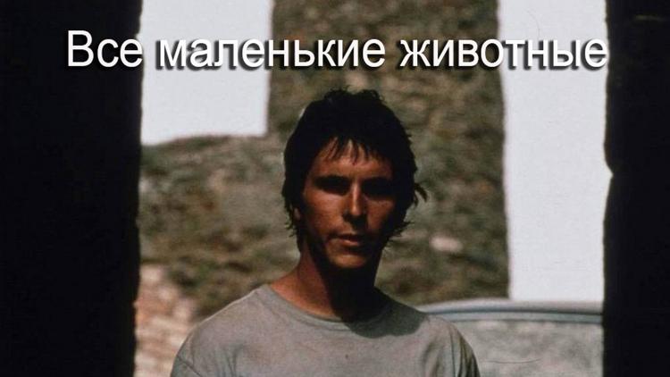 Постер Все маленькие животные