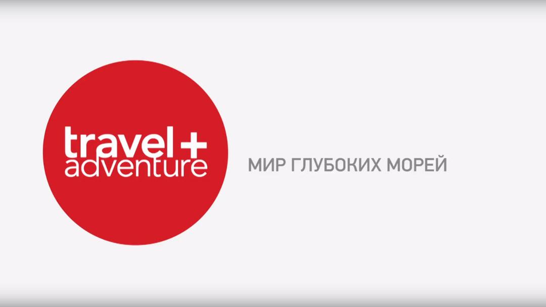 Мир глубоких морей (mir-glubokih-morej) Познавательное