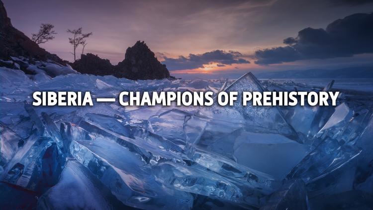 Постер Siberia — Champions of Prehistory