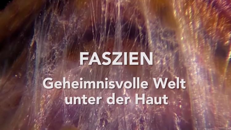 Постер Faszien-Geheimnisvolle Welt unter der Haut