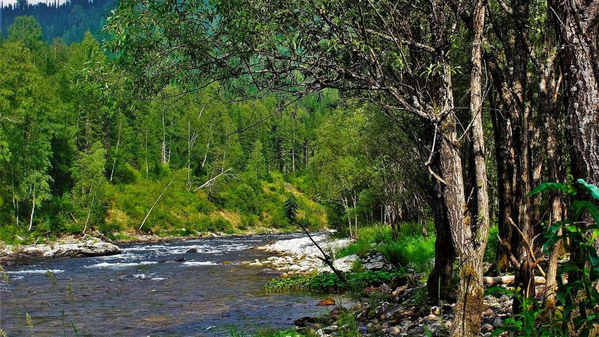 Река Тумуяс (reka-tumujas) Досуг, хобби