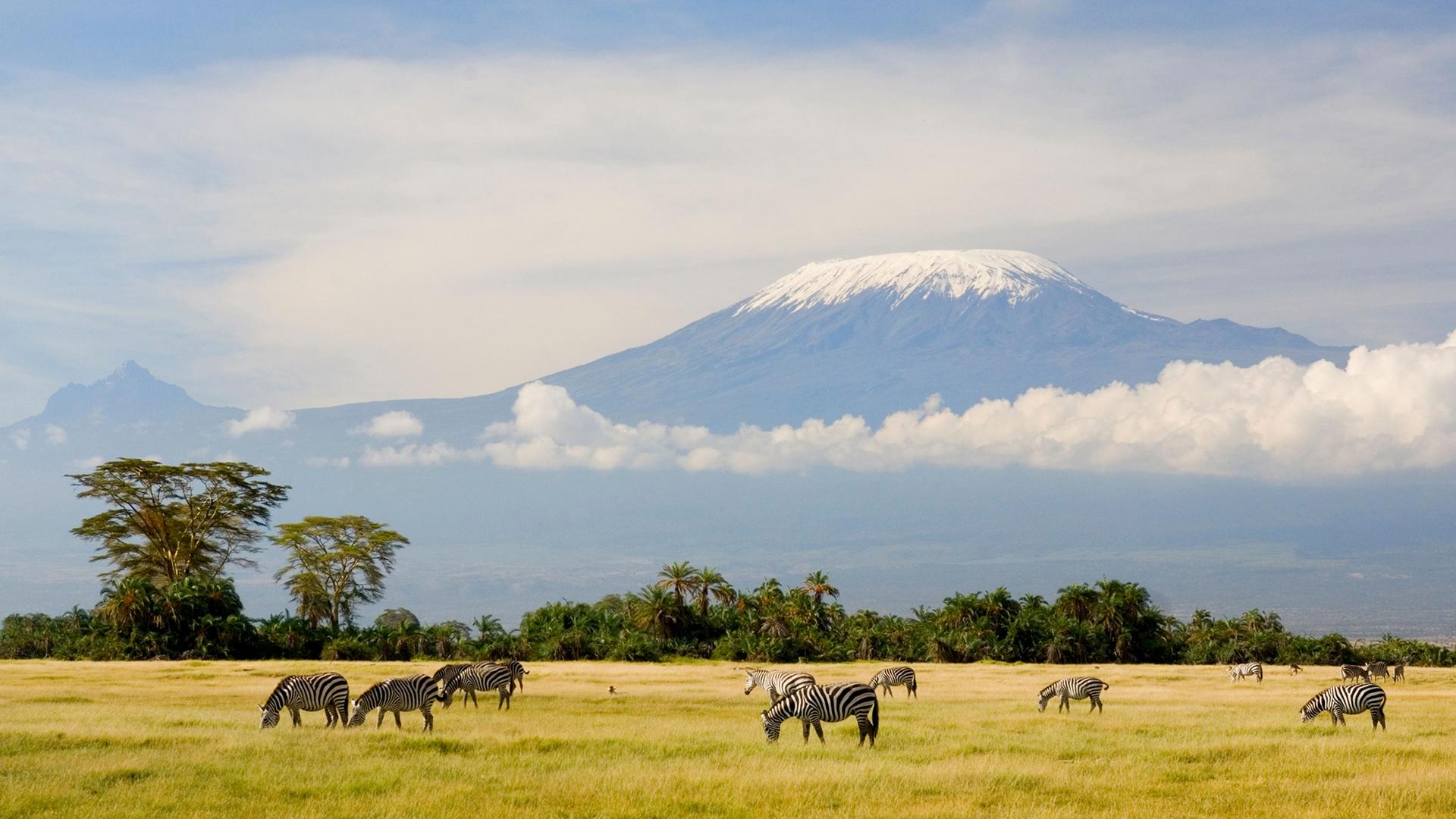Kenta Kiritani's Journey to Equatorial Kilimanjaro (kenta-kiritanis-journey-to-equatorial-kilimanjaro) Познавательное
