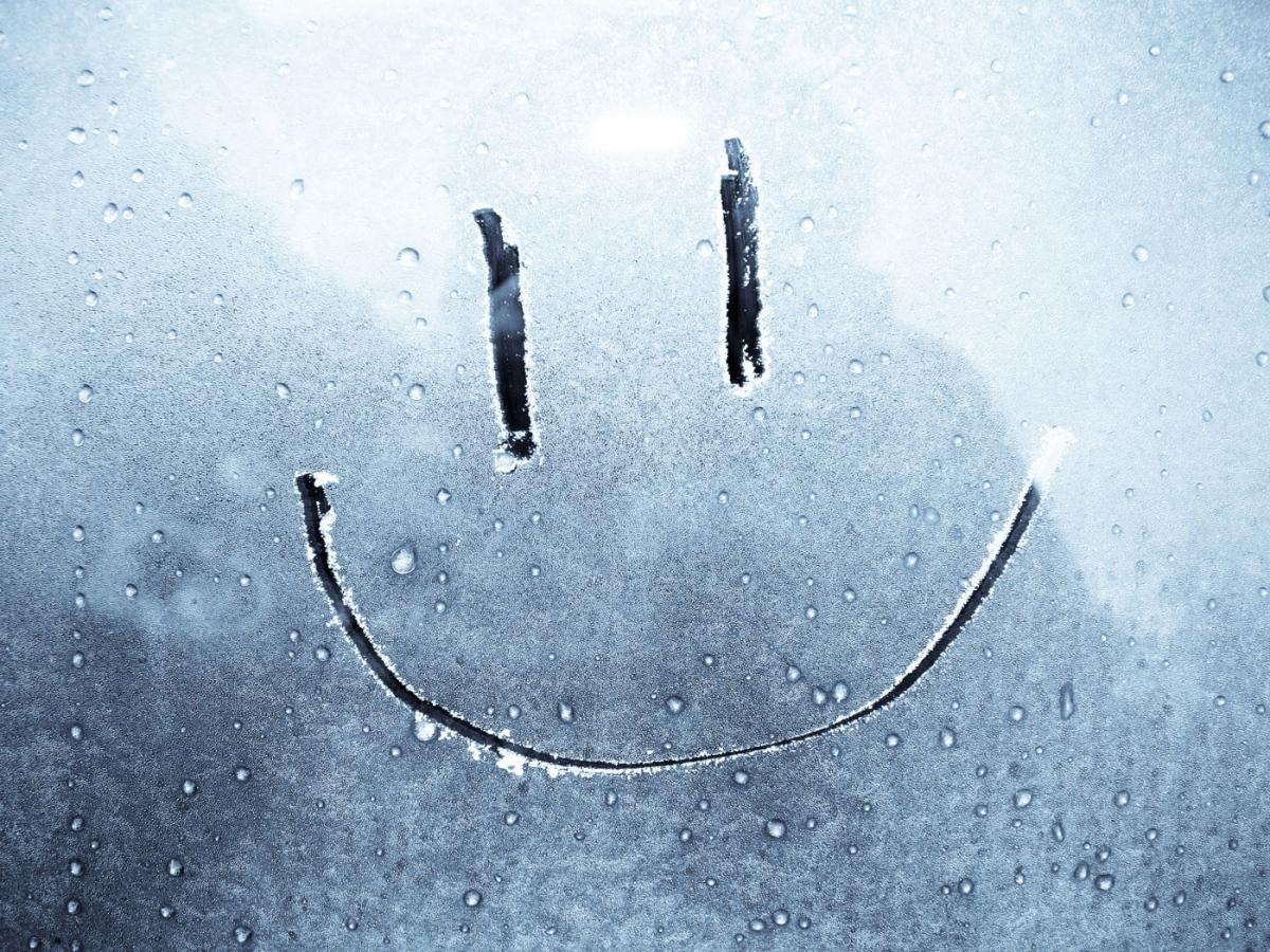 Stend Ap Şou (stend-ap-ou) Юмор