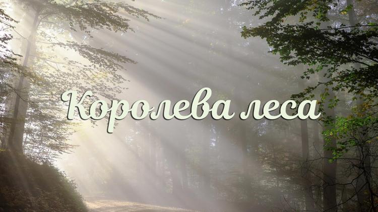 Постер Королева леса