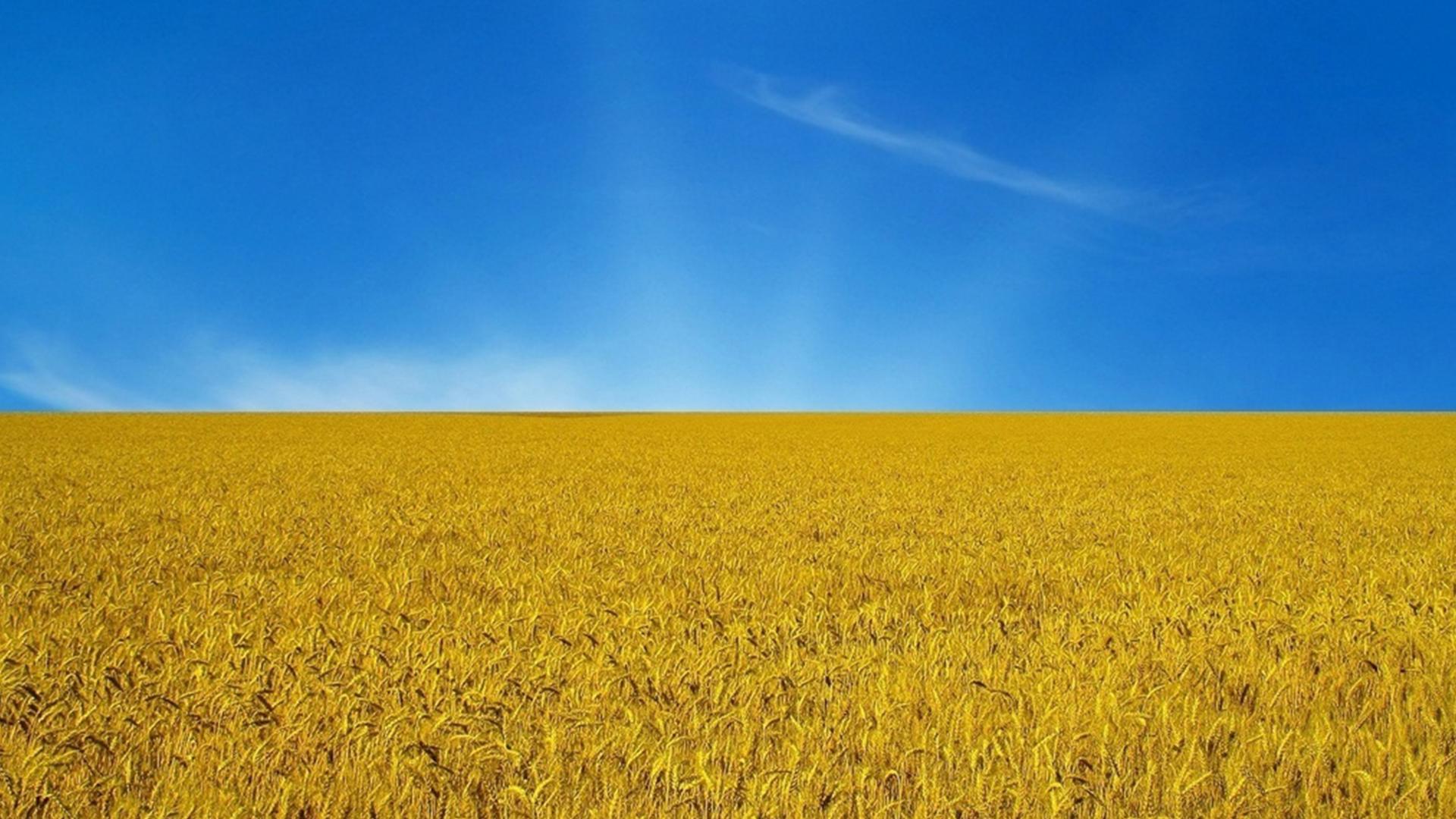 Гордость Украины (gordost-ukrainy) Познавательное