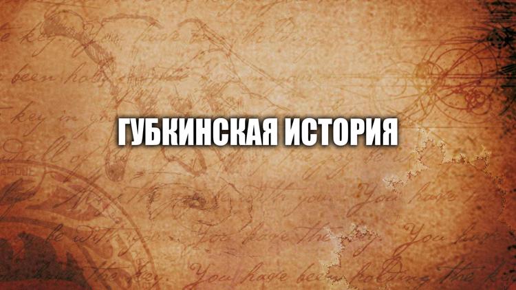 Постер Губкинская история