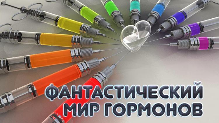 Постер Фантастический мир гормонов