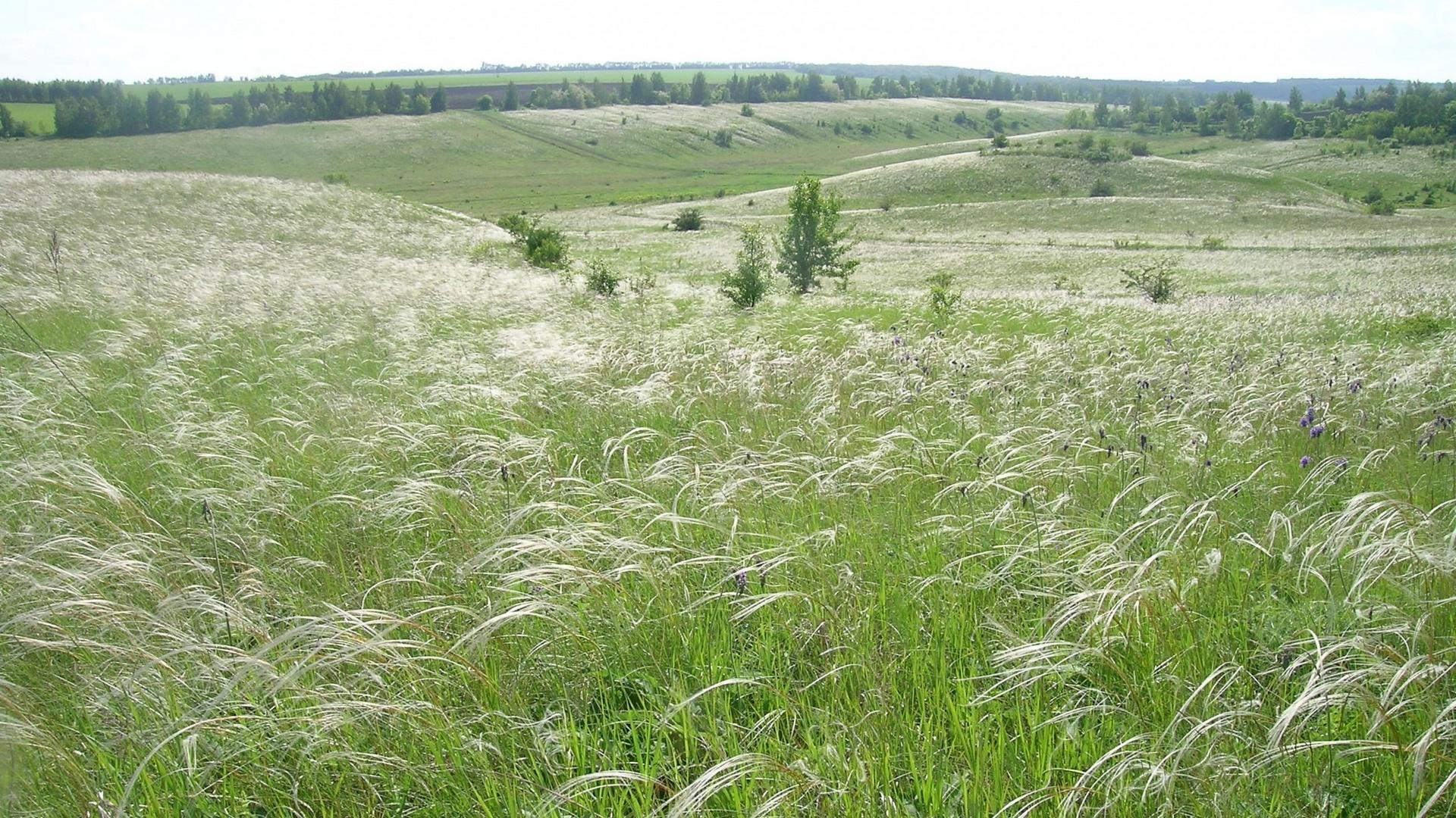 Заповедник «Белогорье» (zapovednik-belogore) Документальный фильм