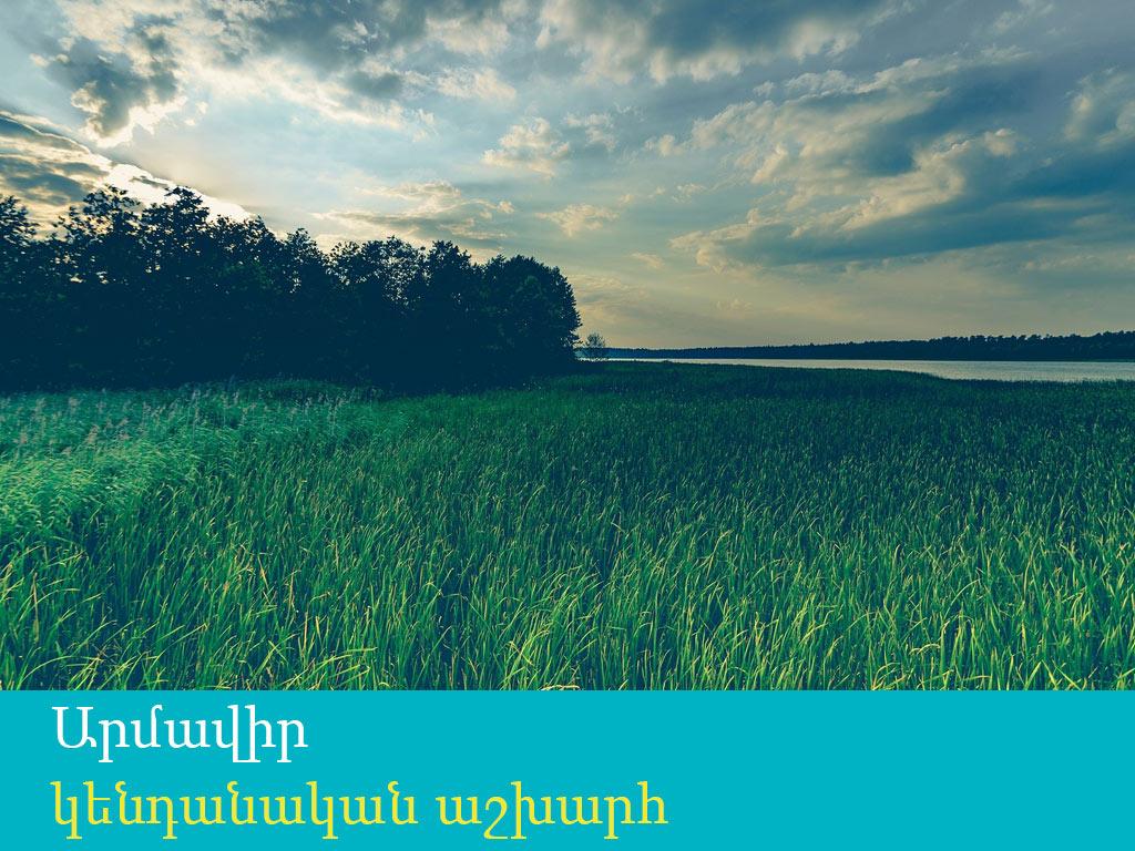 Արմավիր կենդանական աշխարհ Познавательное