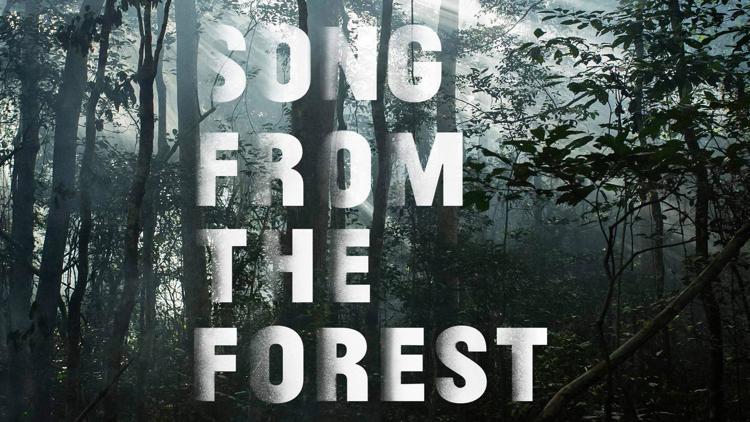 Постер Song from the Forest