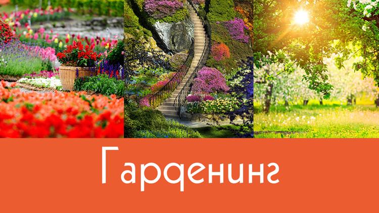 Постер Гарденинг