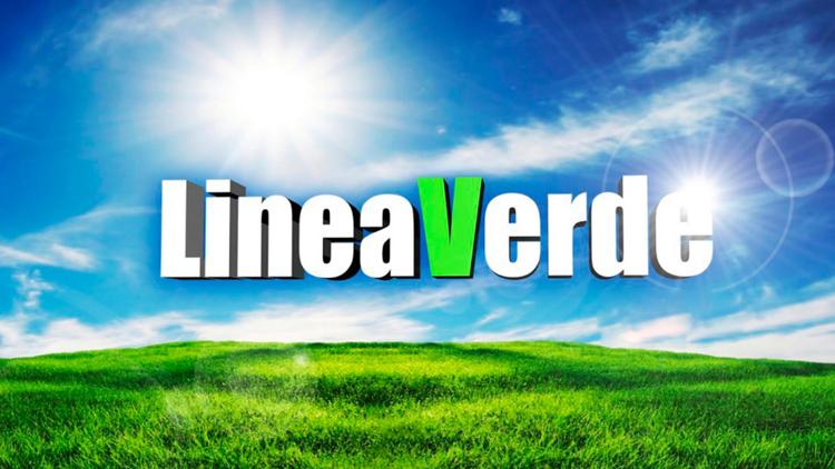 Постер Linea verde