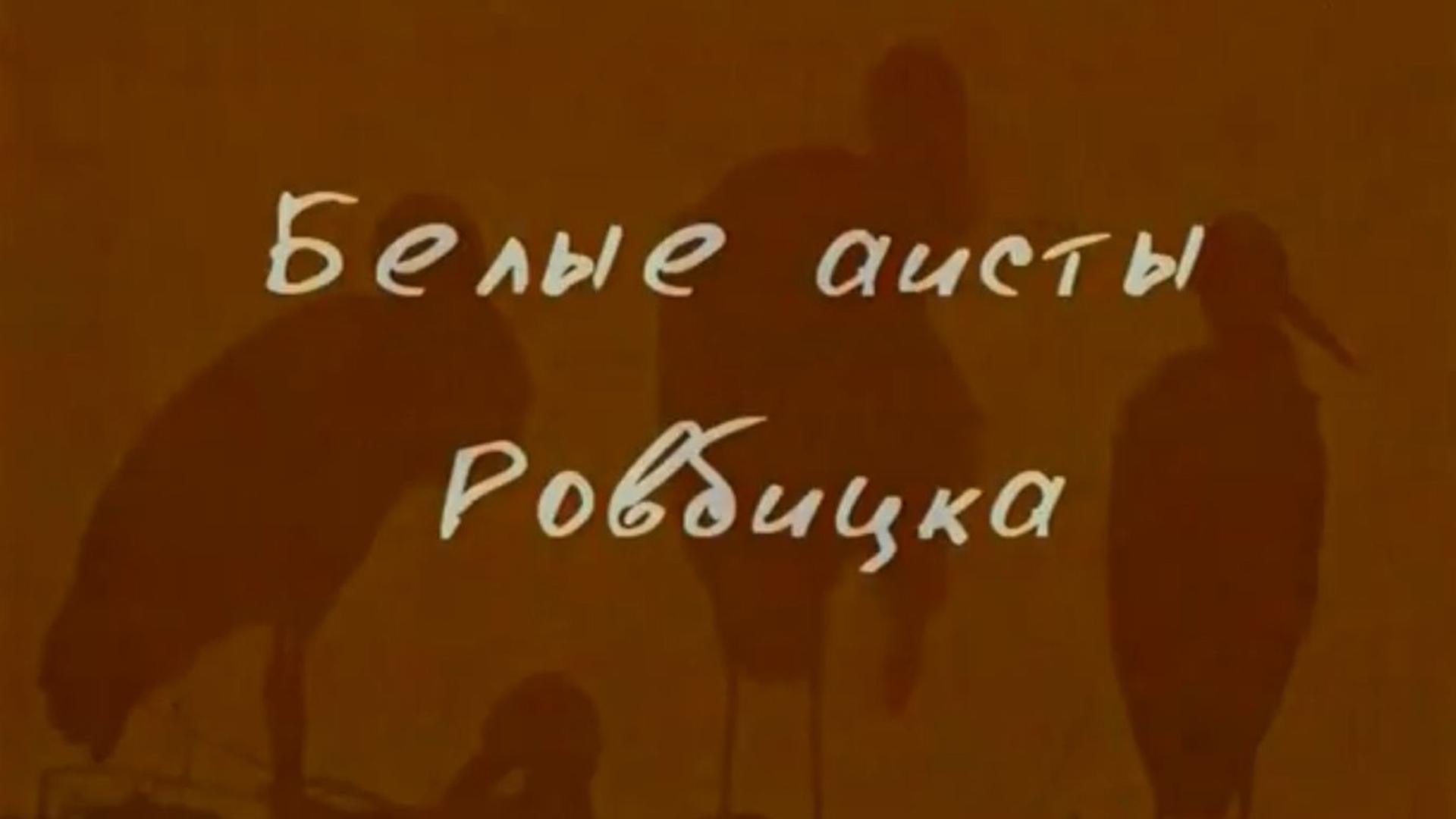 Белые аисты Ровбицка (belye-aisty-rovbitska) Документальный фильм
