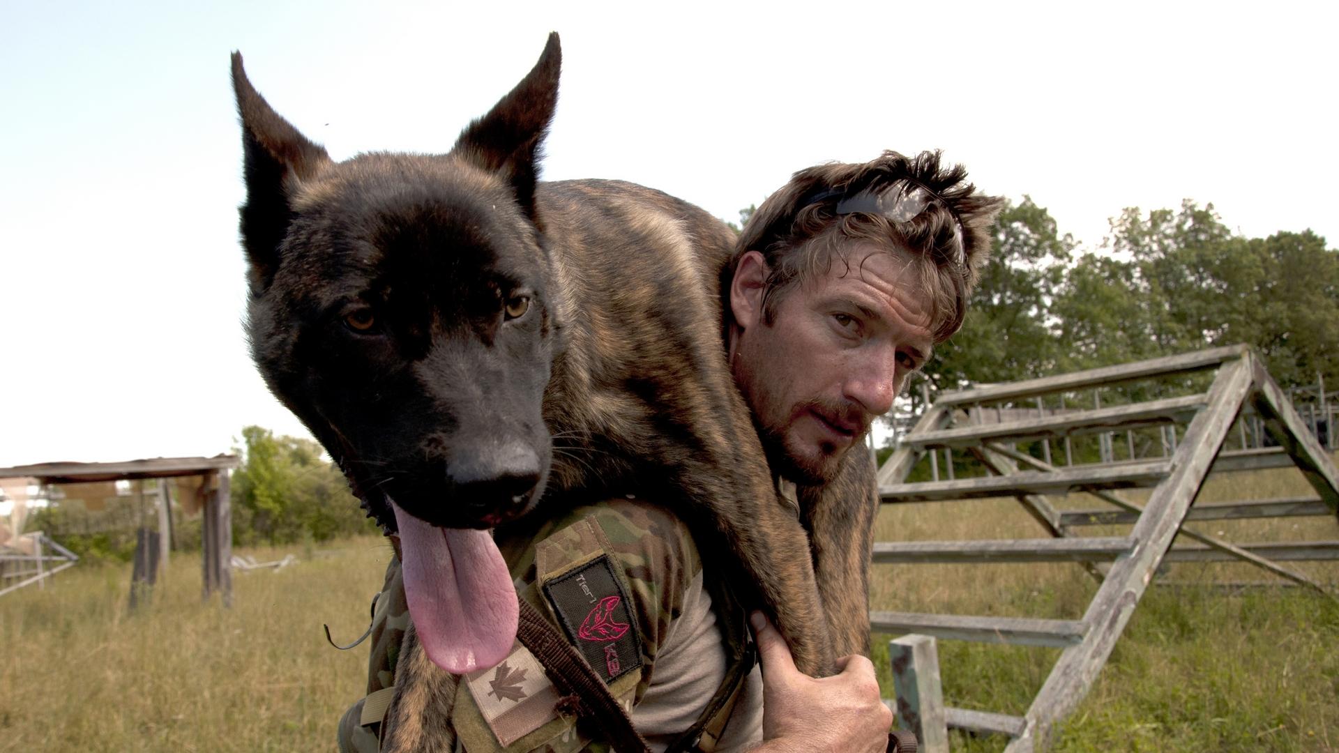 Не вините собаку (ne-vinite-sobaku) Документальный сериал