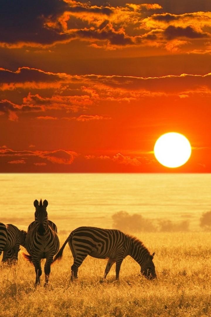 Afrika'nın Kıyıları (afrikann-kylar) Документальный фильм