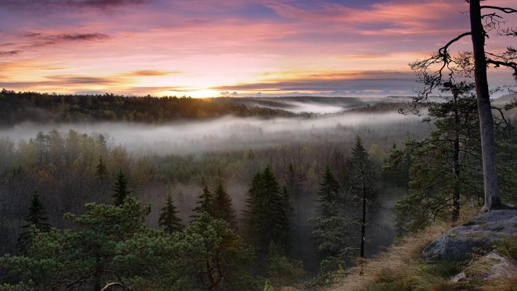 Постер Scandinavie: l’appel de la nature