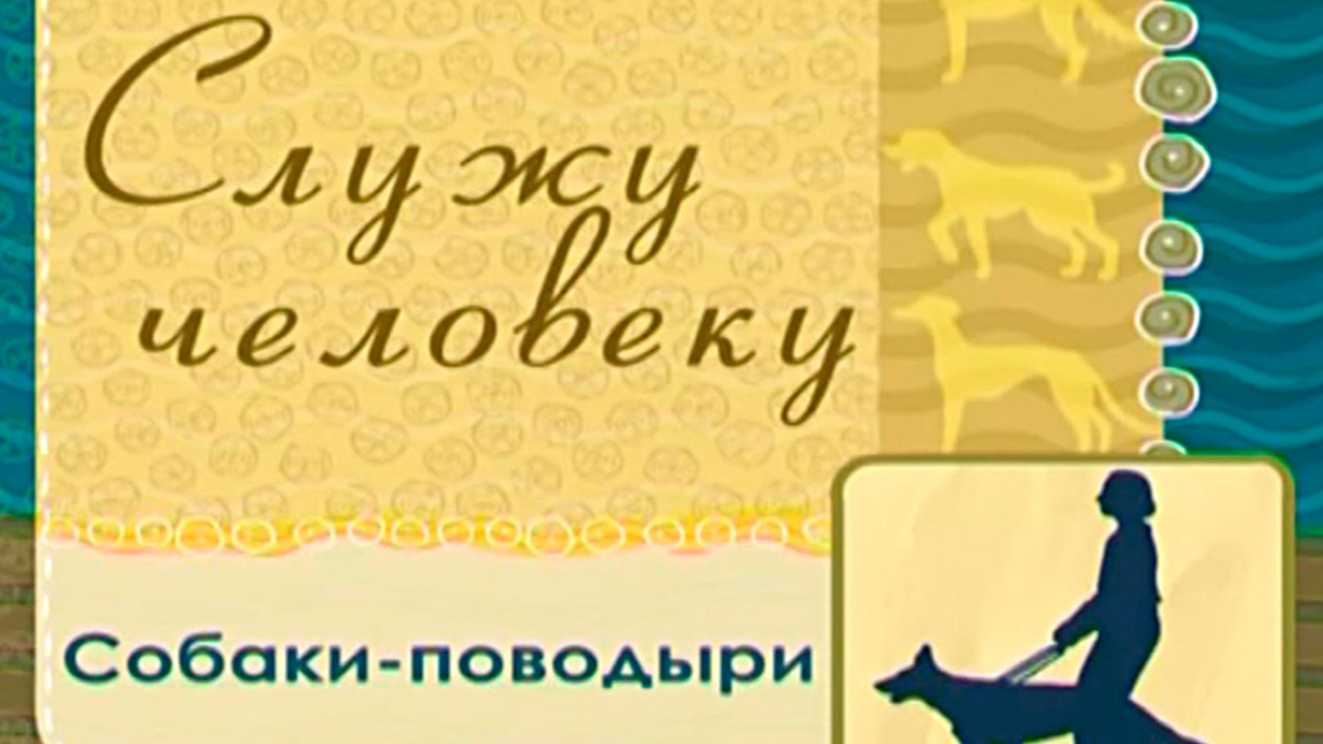 Служу человеку. Собаки-поводыри (sluzhu-cheloveku-sobaki-povodyri) Документальный фильм