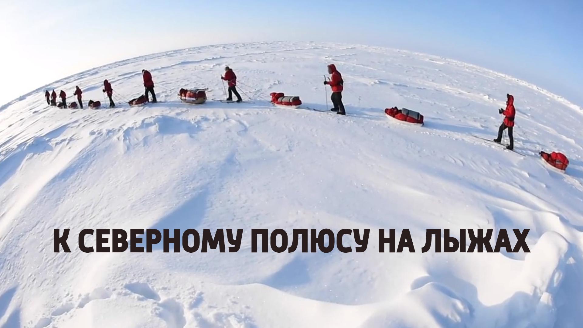 К Северному полюсу на лыжах (k-severnomu-poljusu-na-lyzhah) Познавательное