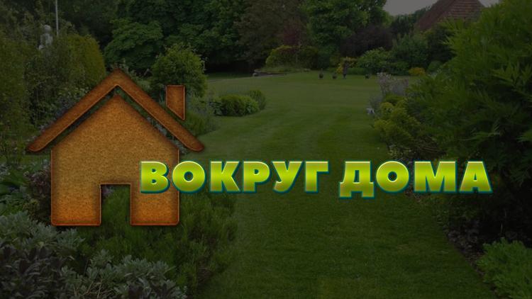 Постер Вокруг дома