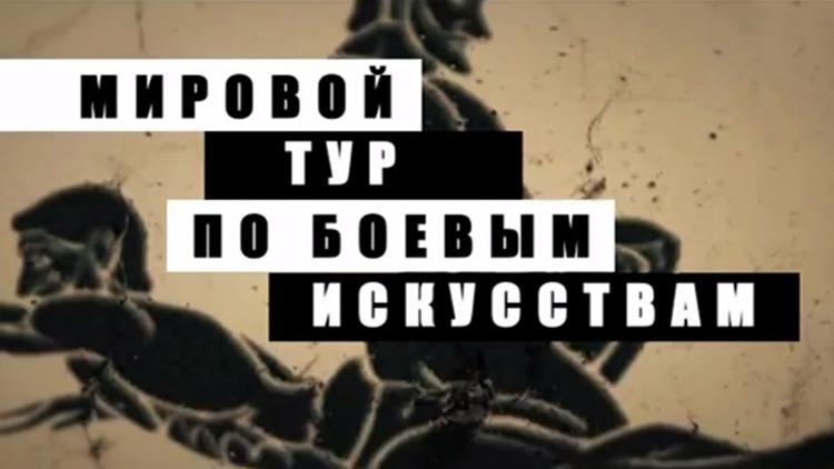 Постер Боевые искусства. Мировой тур