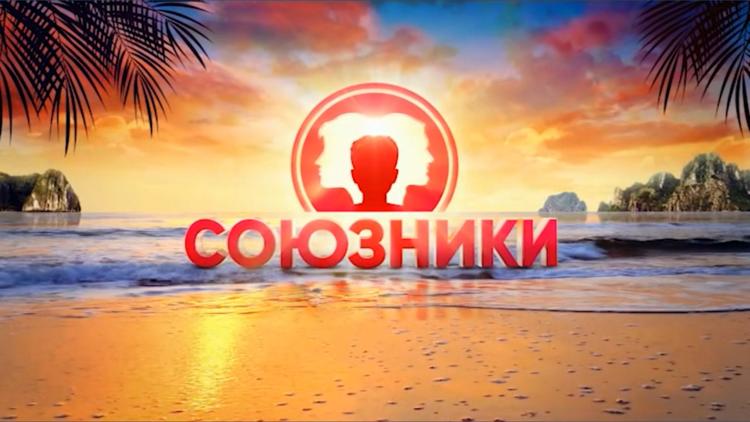 Постер Союзники