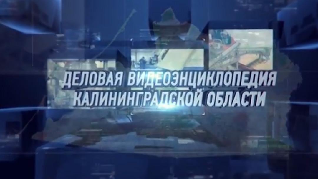 Деловая энциклопедия (delovaja-entsiklopedija) Познавательное