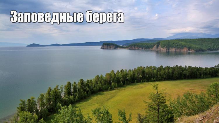 Постер Заповедные берега