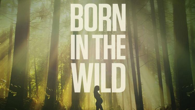 Постер Born in the Wild