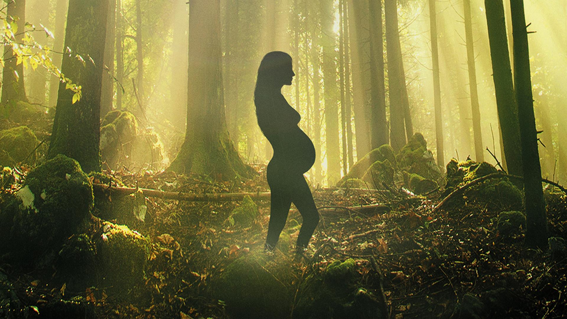 Born in the Wild (born-in-the-wild) Документальный сериал
