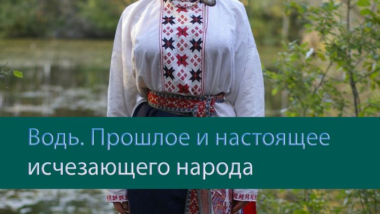 Постер Водь. Прошлое и настоящее исчезающего народа