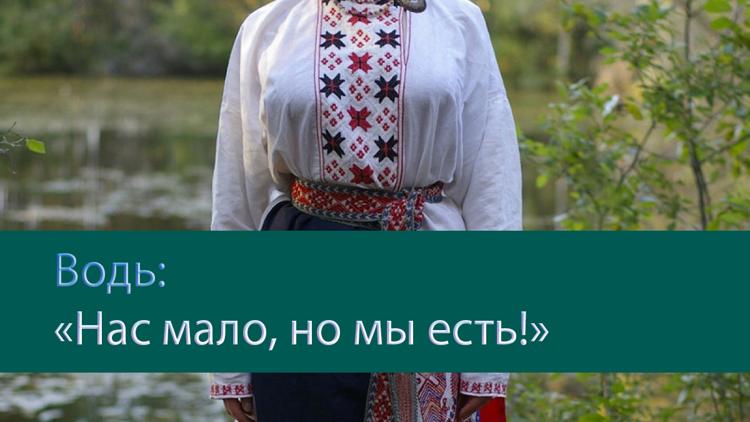 Постер Водь: «Нас мало, но мы есть!»