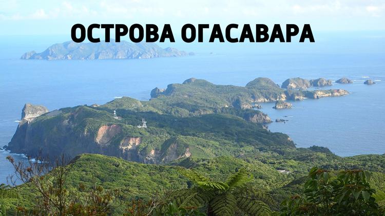 Постер Острова Огасавара