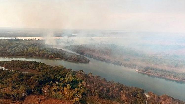 Постер Die Hüter des Amazonas