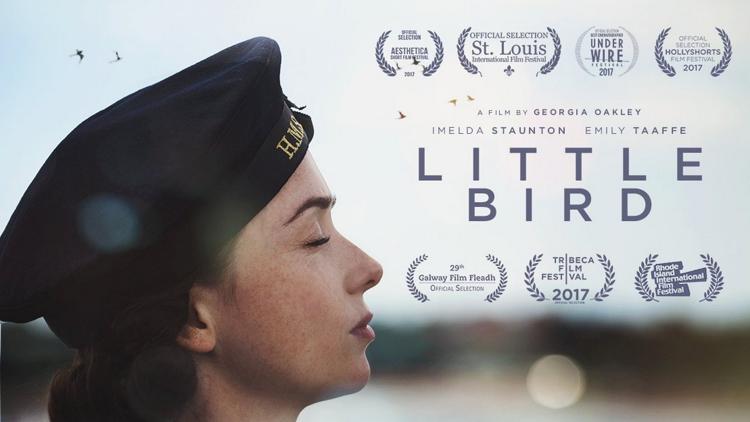 Постер Little Bird