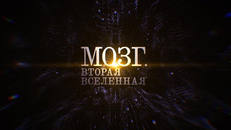 Постер Мозг. Вторая вселенная