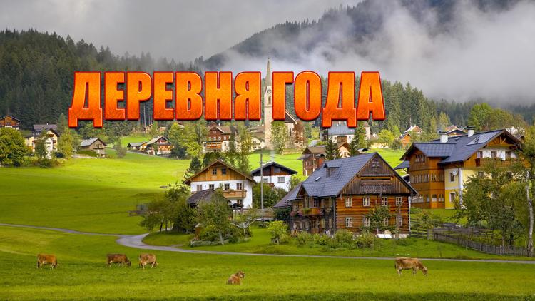 Постер Деревня года