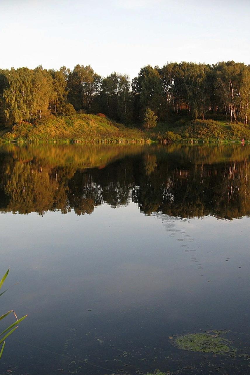 Несколько месяцев из жизни реки Купелинки и других водоёмов (neskolko-mesjatsev-iz-zhizni-reki-kupelinki-i-drugih-vodoemov) Документальный фильм