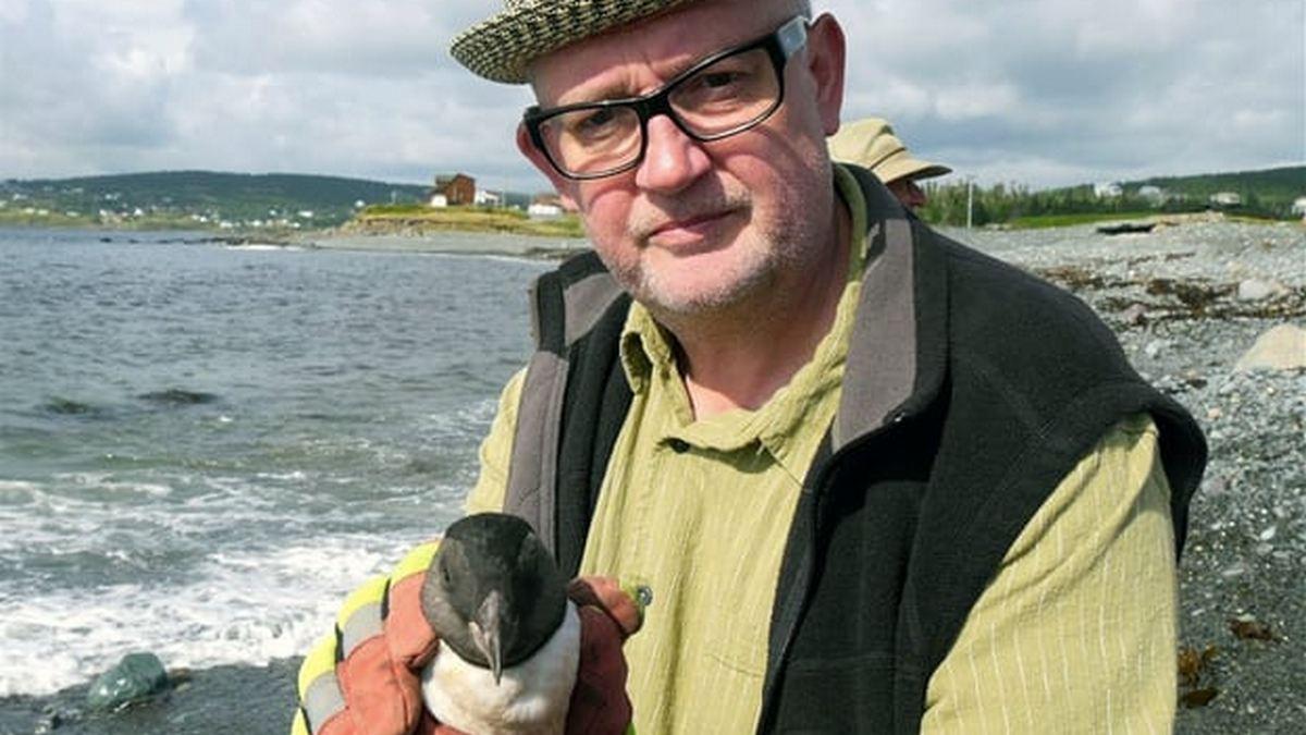 Der Papageitaucher, Nomade des nördlichen Atlantiks (der-papageitaucher-nomade-des-nrdlichen-atlantiks) Документальный фильм