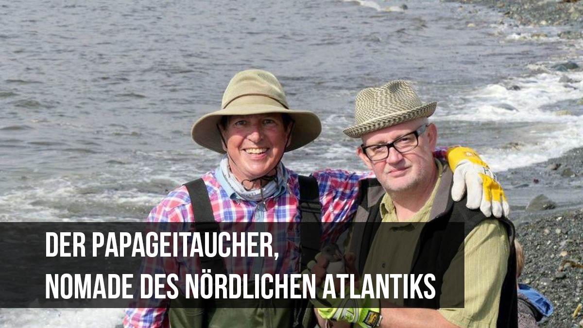 Der Papageitaucher, Nomade des nördlichen Atlantiks (der-papageitaucher-nomade-des-nrdlichen-atlantiks) Документальный фильм
