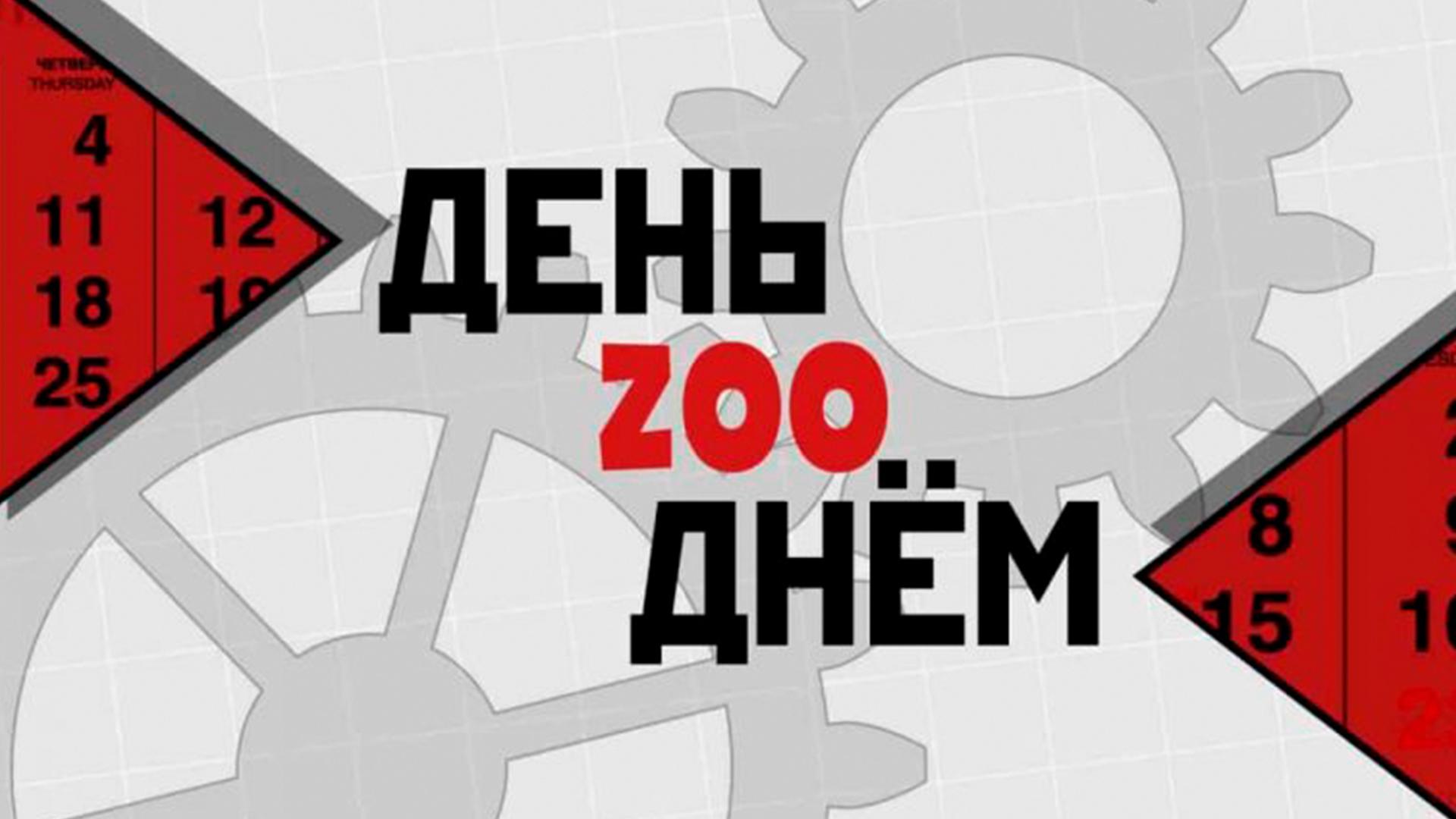 День Zoo Днём (den-zoo-dnem) Познавательное