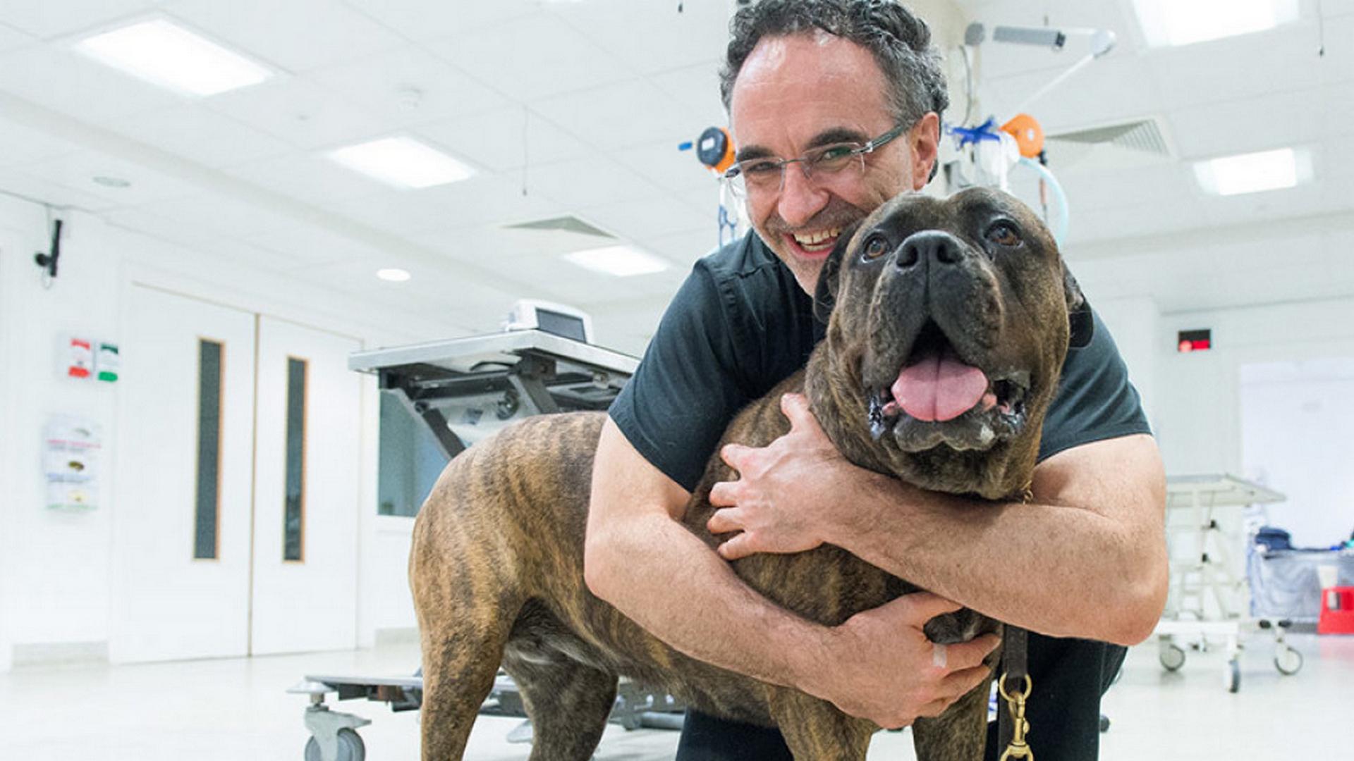 Ветеринар-бионик (veterinar-bionik) Документальный сериал