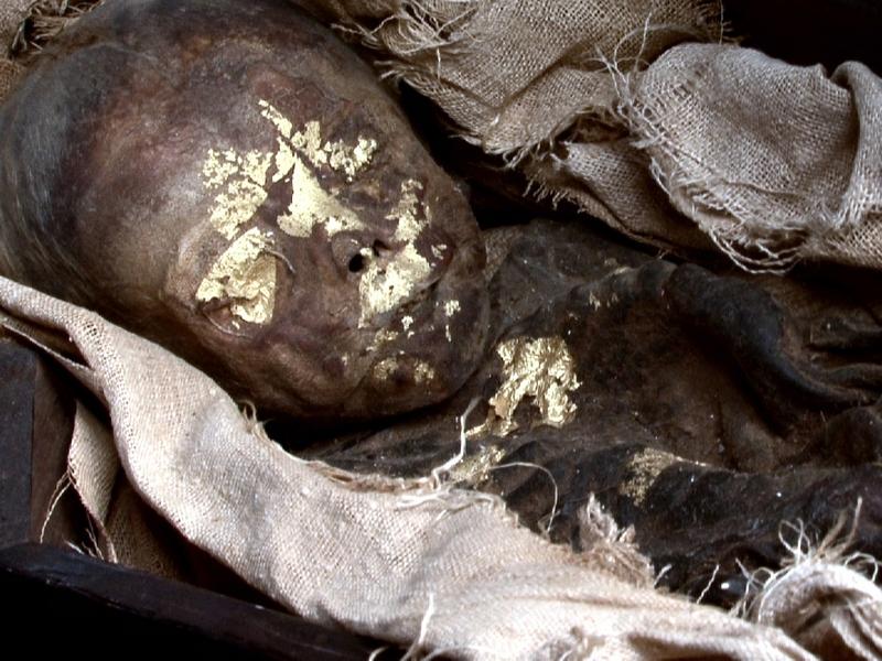 Тайны коптских мумий (tajny-koptskih-mumij) Документальный фильм